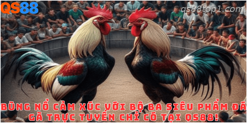 Các loại hình đá gà trực tuyến đang có tại QS88